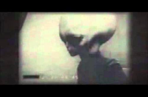 Alleged Leaked Footage Of Alien Survivor From Roswell Crash 2Nd Footage