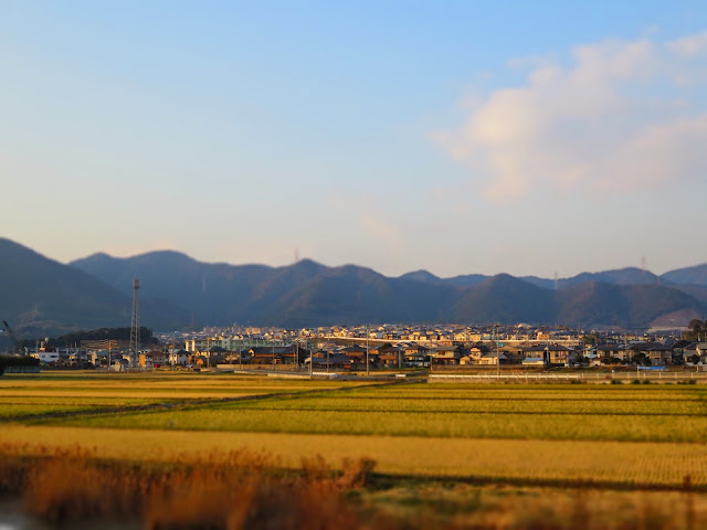 "竹馬川沿いからの田んぼ側の風景/