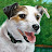 Daniele Jones avatar image