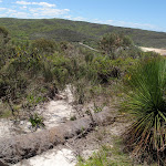 Eroded section of the Grass Tree Track (249607)