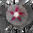 Kimberly Shepard avatar image