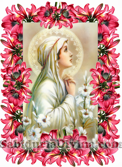 Todos los Santos fueron amantes de la Eucaristía diaria y del Santo Rosario ¿tu tambien?