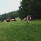 Kastelbeller Almen Trailtour