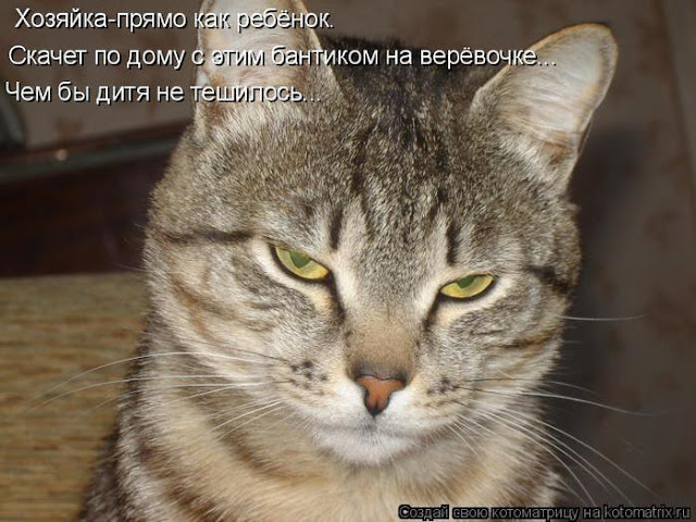 Ни дня без улыбки. Счастье не в деньгах Ни дня без улыбки. Счастье не в деньгах