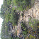 Govetts Ck Lookout Track (98420)