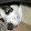 tfblack33 tfblack33's profile photo