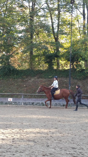 PONEY CLUB DE BRIMBORION