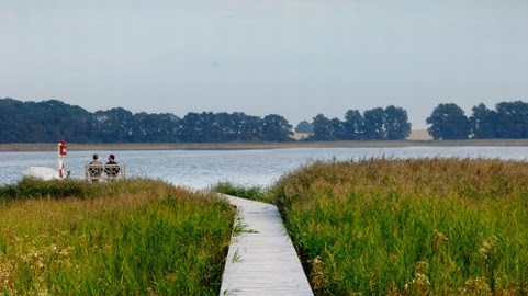 Cover photo