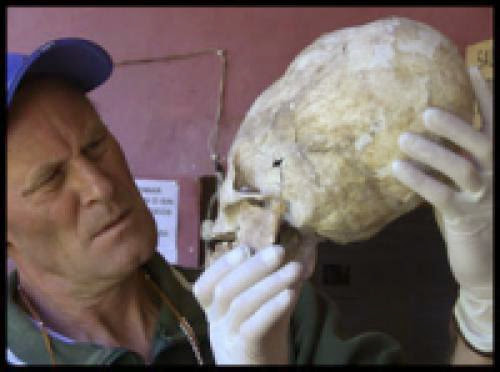 Elongated Skulls May Not Have Human Origins