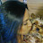 Stephanie Baires avatar image