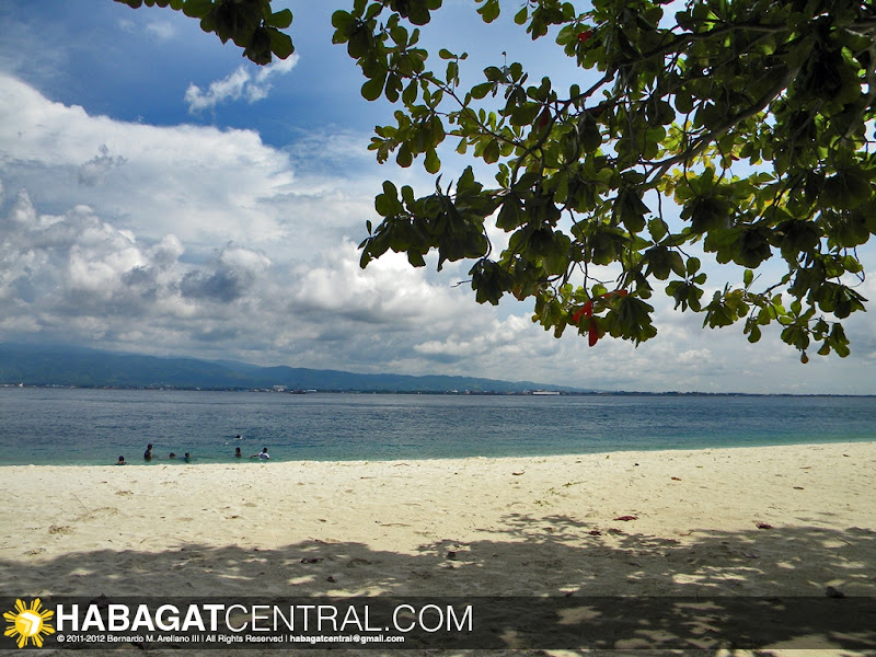 The Pink-White Sand Beach of Santa Cruz