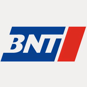 BNT Automotive logo