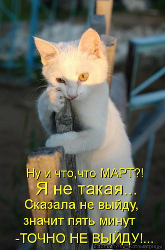Ни дня без улыбки. Немного о наших, любимых… Ни дня без улыбки. Немного о наших, любимых…