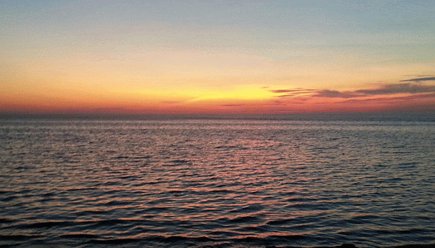 Cover photo