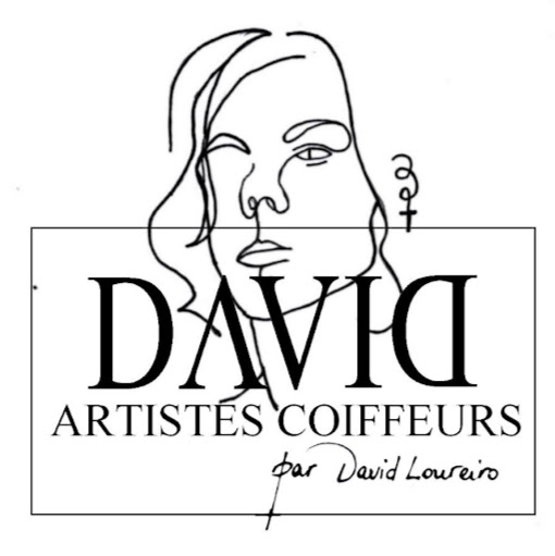 Salon David Loureiro logo