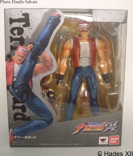 [REVIEW] The King Of Fighters 94 - Terry Bogard D-arts -  by Hades XII DSCI9762