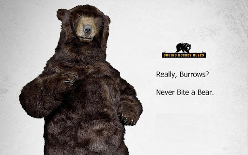 burrows bites bear
