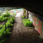 Track under Fullers Bridge (55604)