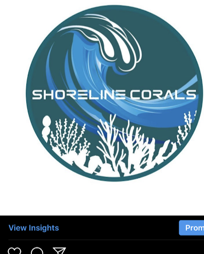 Shoreline Corals logo