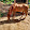 Michaela Hafford Michaela Hafford's profile photo