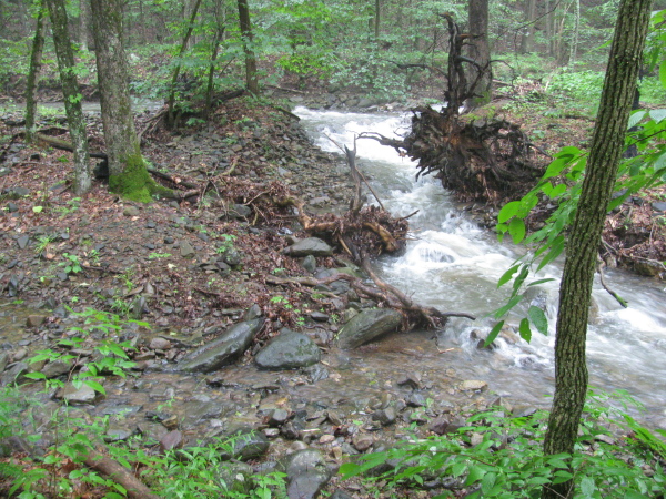 the swollen stream that was our water source