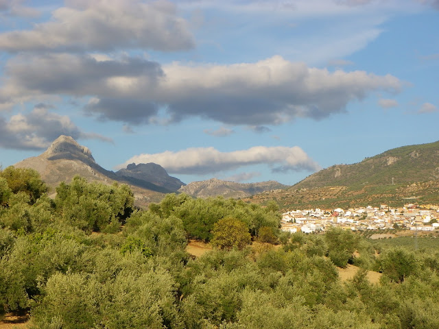 Vista