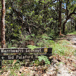 Int of Sid Pulsford Walking and Warriwarri Lookout trails (235700)