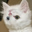 Frank Ward avatar image