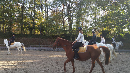 PONEY CLUB DE BRIMBORION