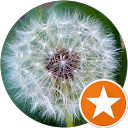 review by FirstBorn ProtoType review by FirstBorn ProtoType