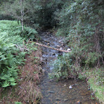 Sharpes Creek