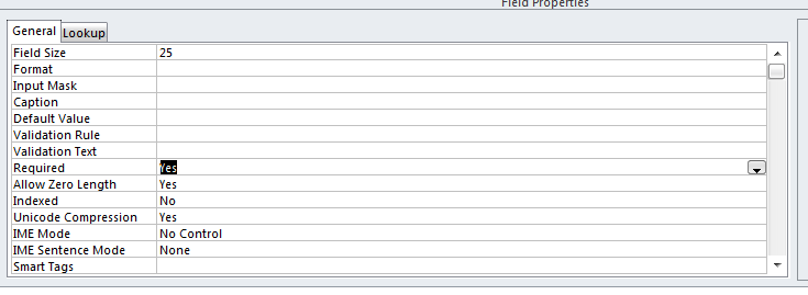 Field properties in access.