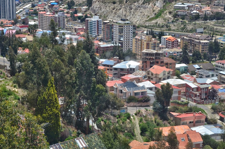 DSC_6320.JPG