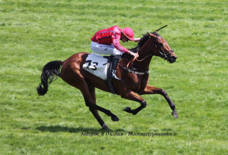 Photos Auteuil 17-05-2015 Journée du Grand Steeple IMG_9982