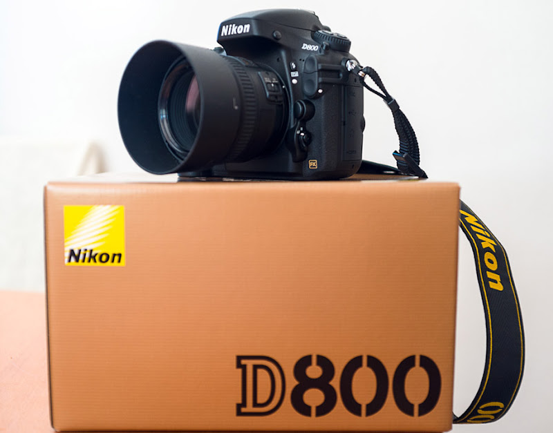 Why Nikon D800 Could Be the Best Buy Full Frame Camera? | New Zealand