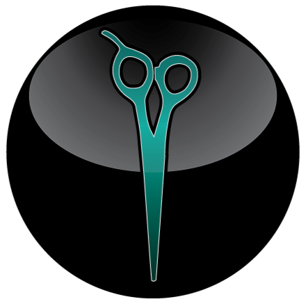 Shear Dimensions Salon logo