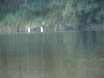 DSC02764.JPG