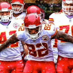 Dwayne Bowe review