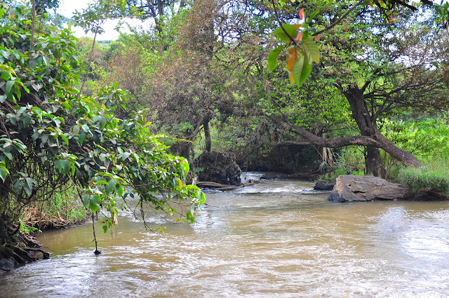 Review - Phượt Đà Lạt --> Suối Vàng ---> Thác Voi qua cung đường đèo Gia Bắc. - 22