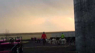 Photos of H&oacute;lmasel Dogsledding Iceland