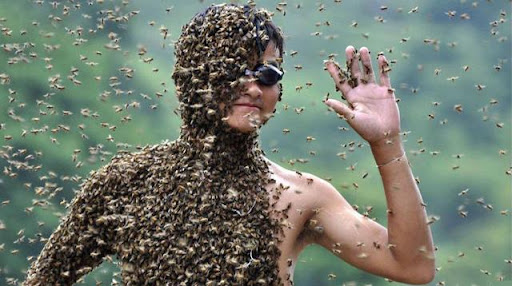 bee-wearing contest in china