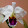 Jose Manuel Casadiego Piña Jose Manuel Casadiego Piña's profile photo