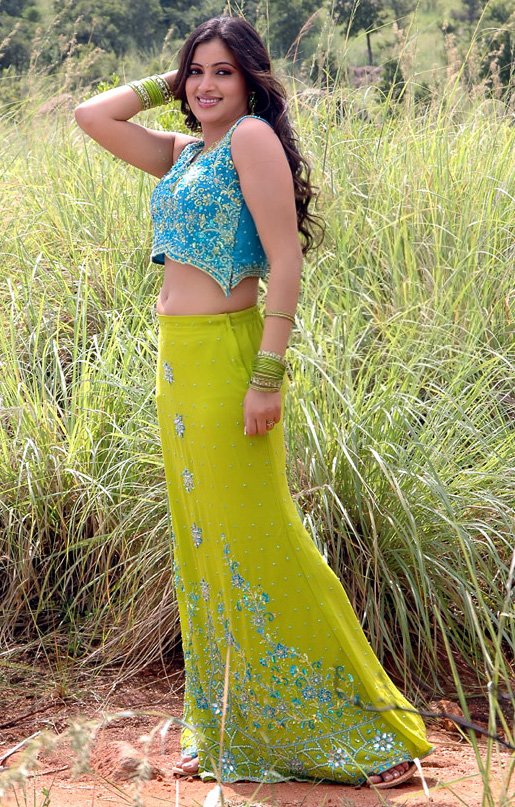 Navneet Kaur Hot In Saree Wallpapers Pictures Actress Hot Pics Wallpapers Images News Coll Photo