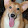 Trish Pettinati Trish Pettinati's profile photo