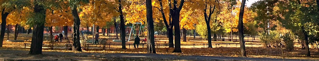 Cover photo