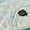 Mathemagus Mathemagus's profile photo