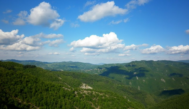 P1000808.JPG