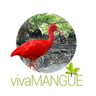 Viva Mangue's user avatar