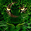 iamattiq1991's user avatar
