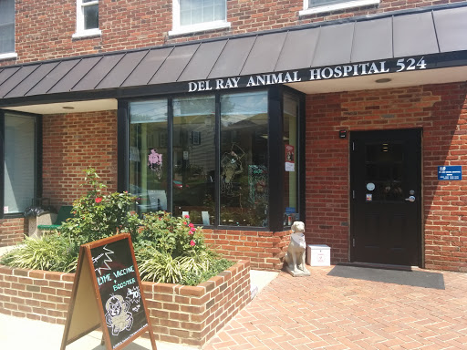 Veterinarian «Del Ray Animal Hospital», reviews and photos